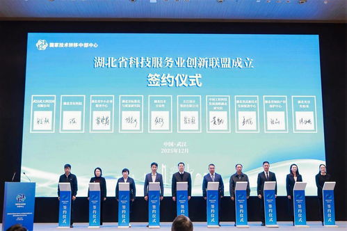 湖北省科技服務(wù)業(yè)創(chuàng)新聯(lián)盟成立，信息技術(shù)咨詢服務(wù)邁入新階段